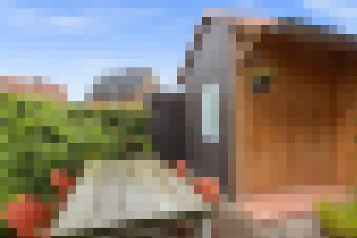 Heesterburgh 22 's-Hertogenbosch thumbnail 25
