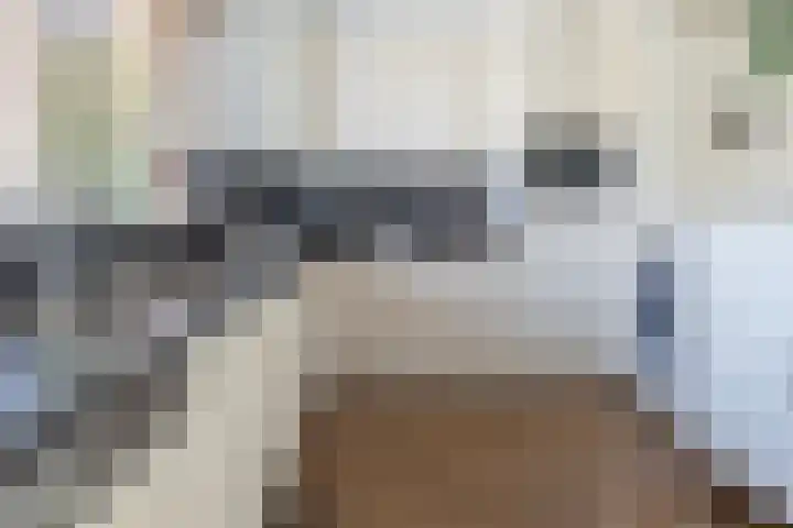 Heestereng 16 Barneveld thumbnail 11