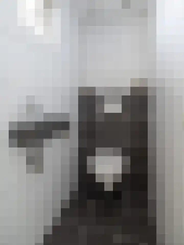 Heestereng 16 Barneveld thumbnail 17