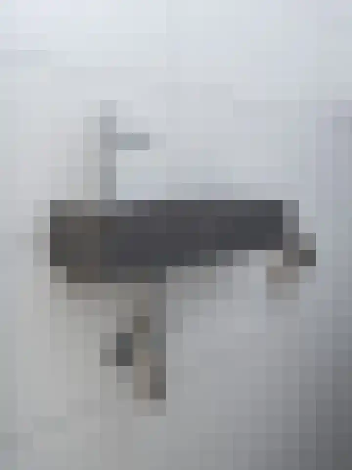 Heestereng 16 Barneveld thumbnail 18