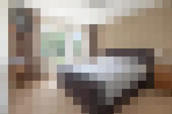 Heestereng 16 Barneveld thumbnail 20