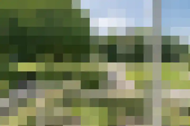 Heestereng 16 Barneveld thumbnail 22