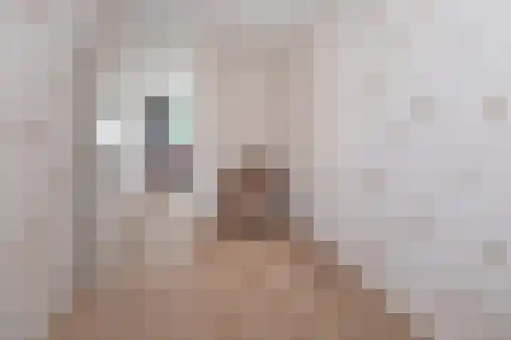Heestereng 16 Barneveld thumbnail 24