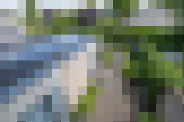 Heestereng 16 Barneveld thumbnail 27