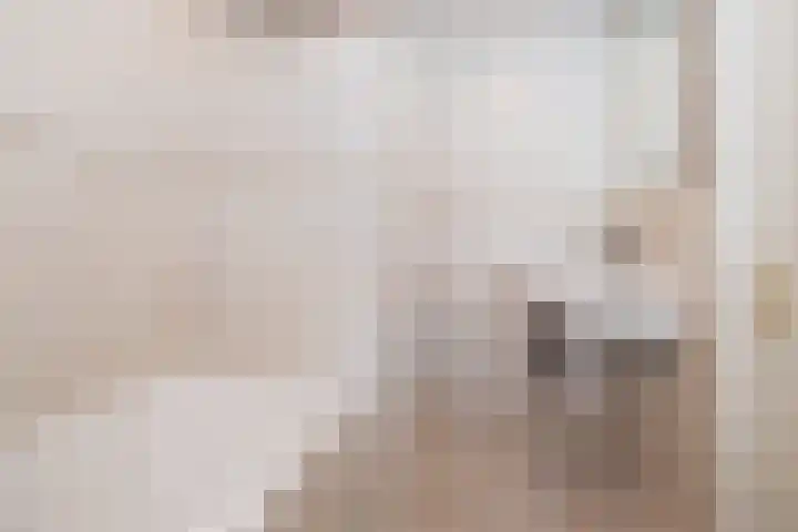 Heestereng 16 Barneveld thumbnail 29