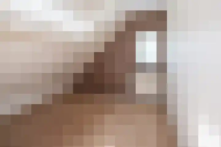 Heestereng 16 Barneveld thumbnail 34