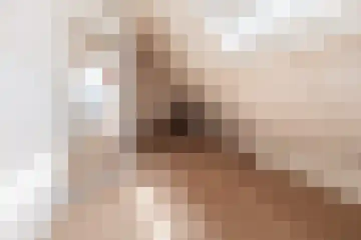 Heestereng 16 Barneveld thumbnail 35
