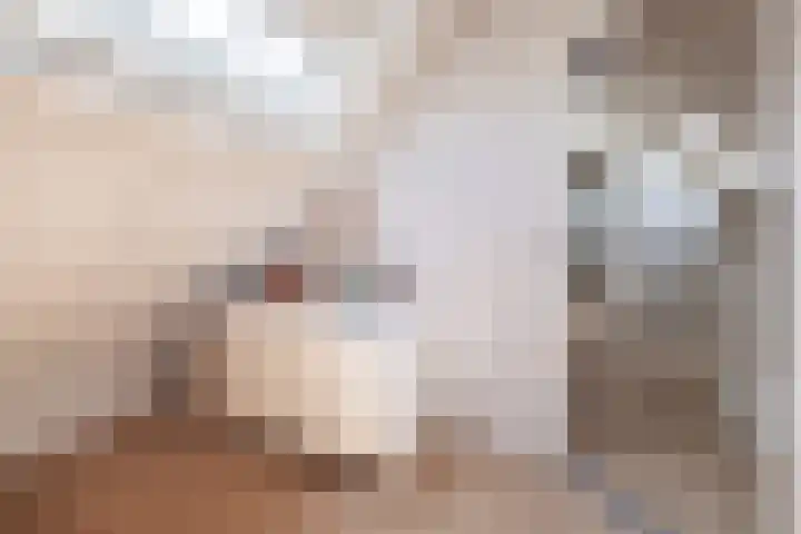 Heestereng 16 Barneveld thumbnail 37