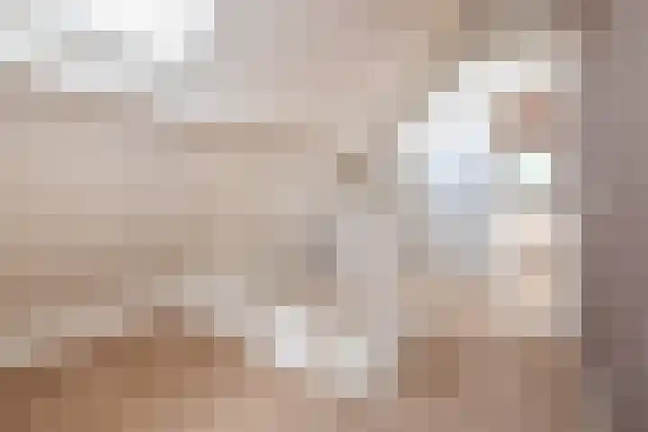 Heestereng 16 Barneveld thumbnail 38