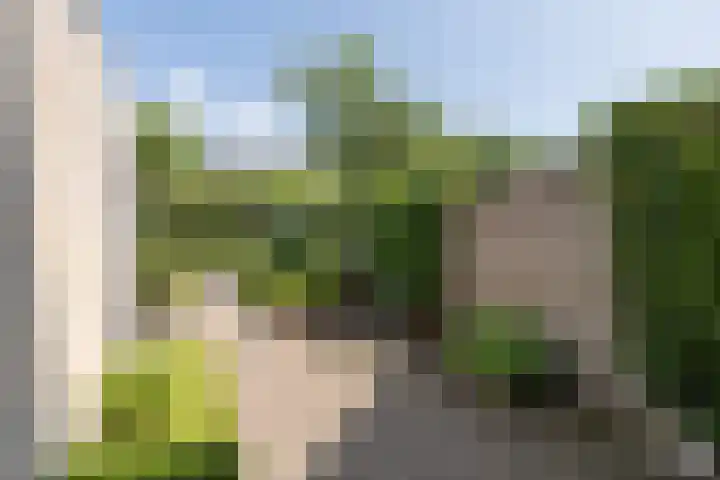 Heestereng 16 Barneveld thumbnail 42
