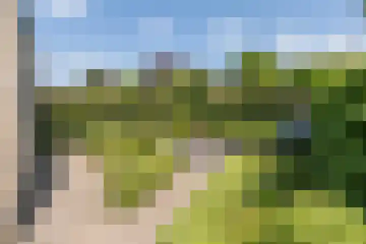 Heestereng 16 Barneveld thumbnail 43