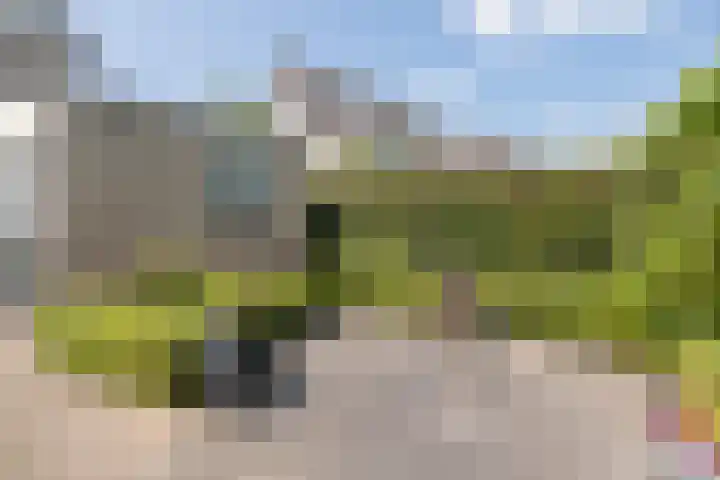 Heestereng 16 Barneveld thumbnail 44