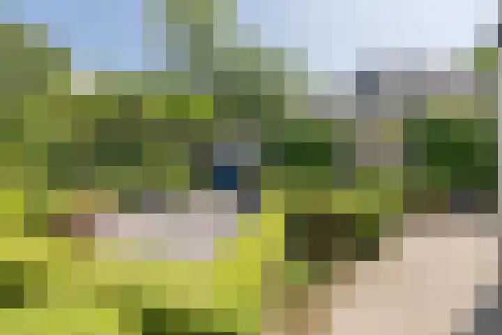 Heestereng 16 Barneveld thumbnail 47