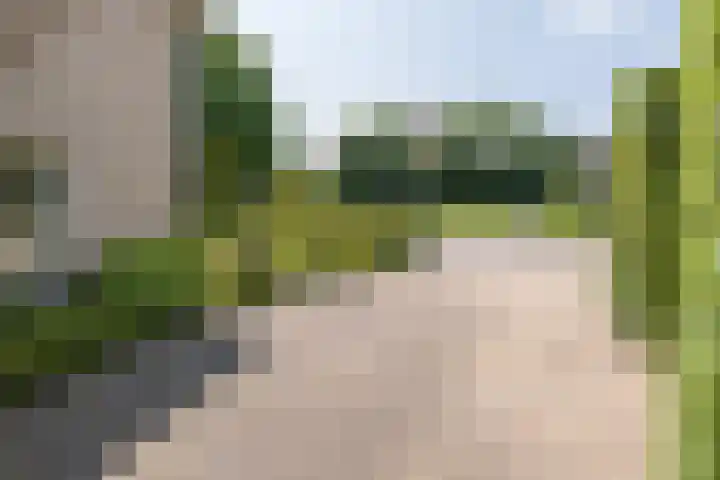 Heestereng 16 Barneveld thumbnail 48