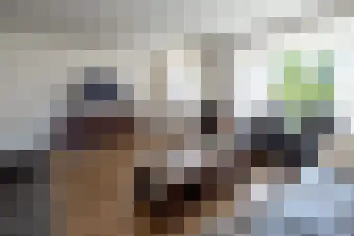 Heestereng 16 Barneveld thumbnail 5