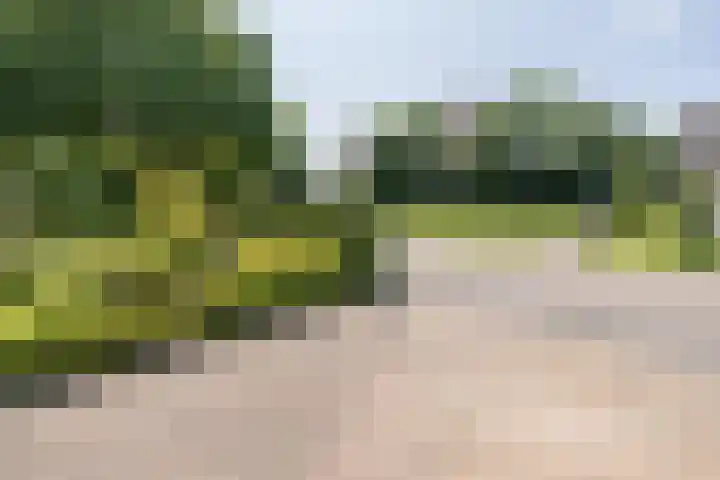 Heestereng 16 Barneveld thumbnail 50