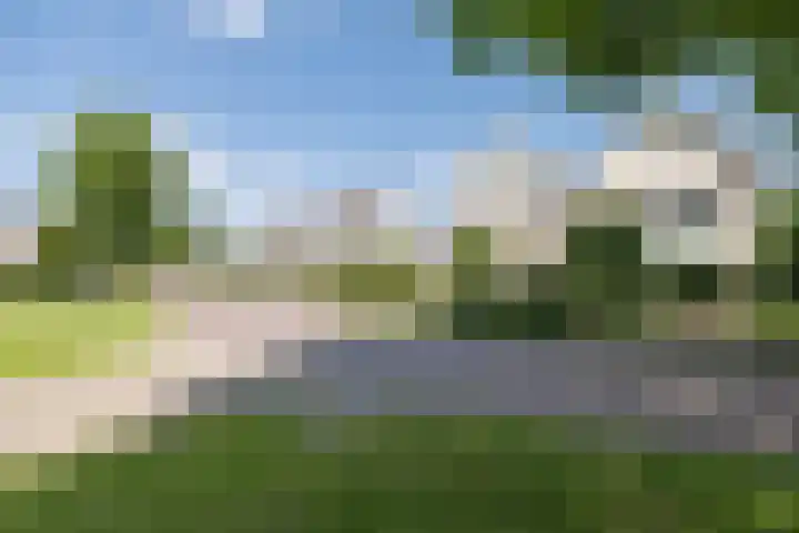Heestereng 16 Barneveld thumbnail 52