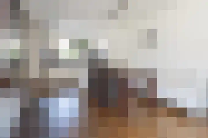 Heestereng 16 Barneveld thumbnail 8