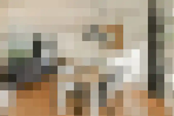 Heesterlaan 11 Gouda thumbnail 10