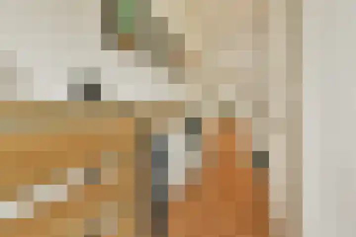 Heesterlaan 11 Gouda thumbnail 12