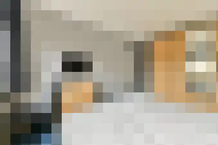 Heesterlaan 11 Gouda thumbnail 16