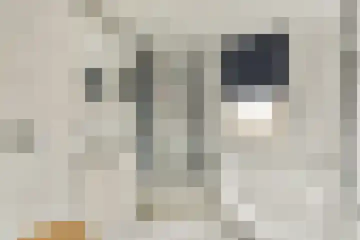 Heesterlaan 11 Gouda thumbnail 21