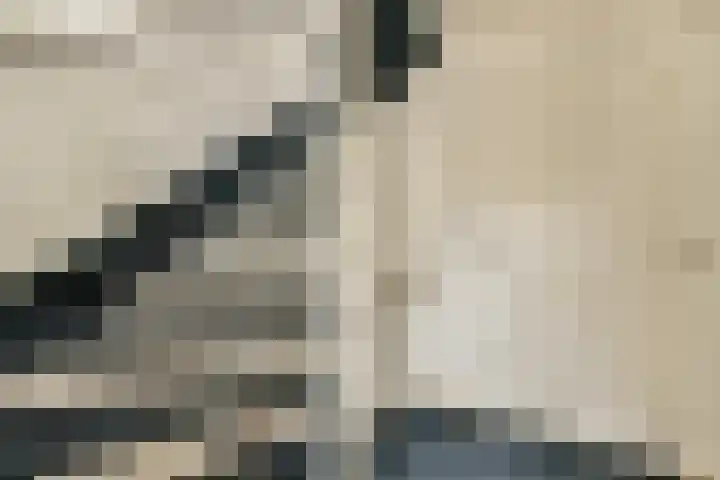 Heesterlaan 11 Gouda thumbnail 23