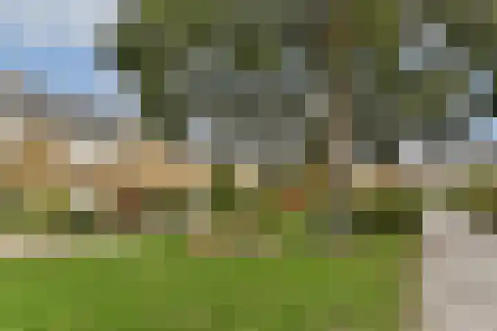 Heesterlaan 11 Gouda thumbnail 31