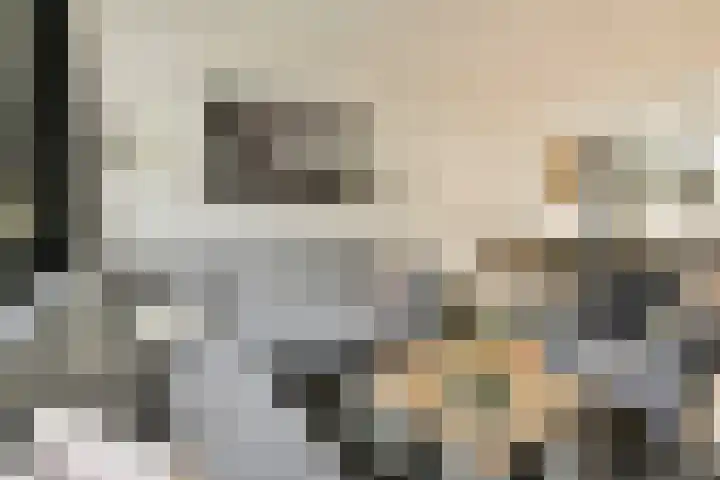 Heesterlaan 11 Gouda thumbnail 8