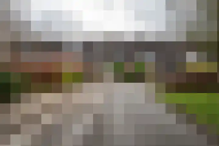 Heesterlaan 11 Haren Gn thumbnail 11