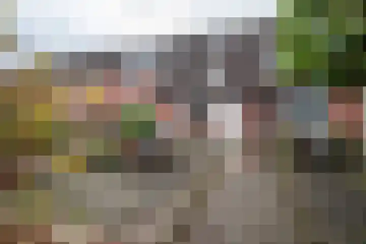 Heesterlaan 11 Haren Gn thumbnail 12