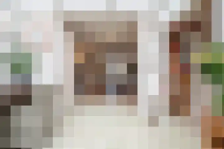 Heesterlaan 11 Haren Gn thumbnail 25