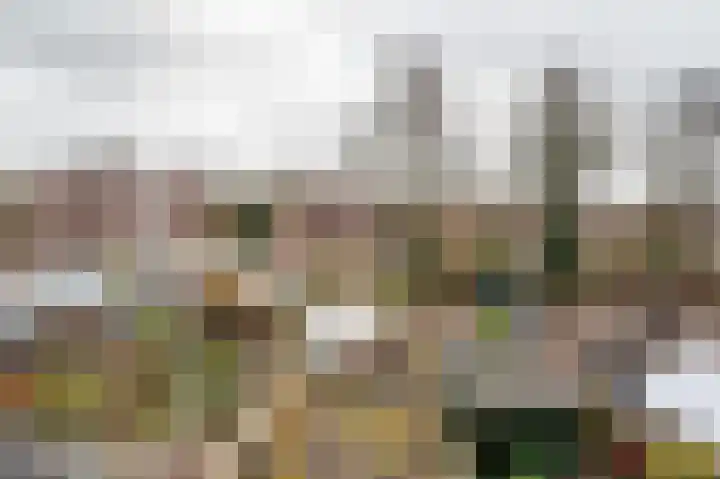Heesterlaan 11 Haren Gn thumbnail 41