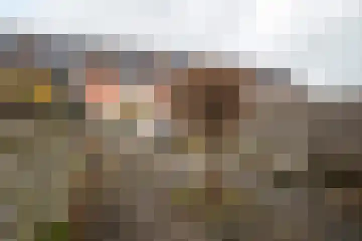 Heesterlaan 11 Haren Gn thumbnail 44