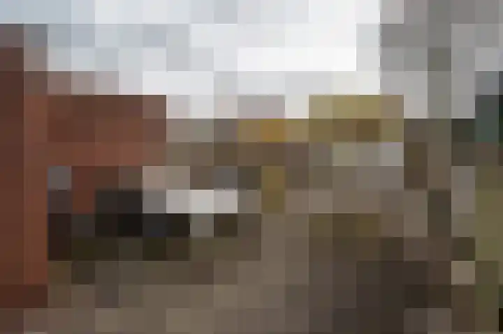 Heesterlaan 11 Haren Gn thumbnail 47