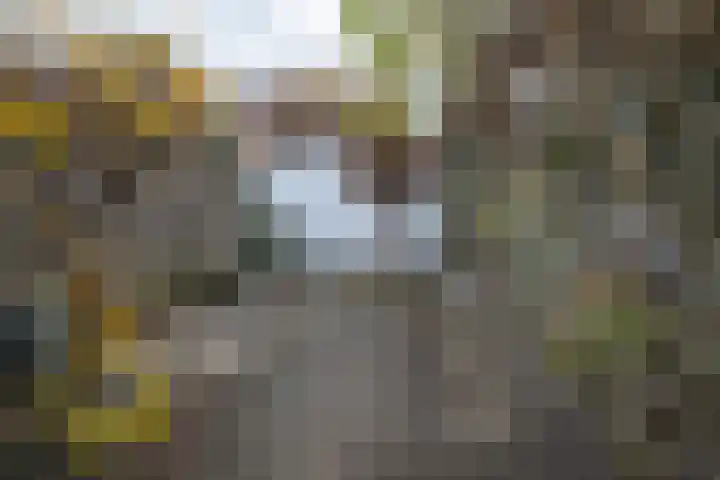 Heesterlaan 11 Haren Gn thumbnail 48