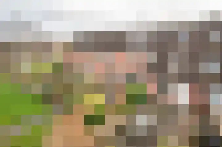 Heesterlaan 11 Haren Gn thumbnail 6