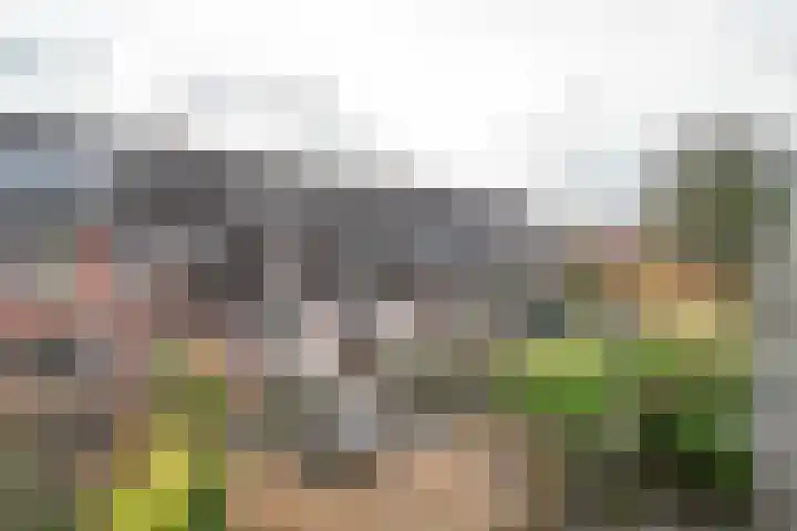 Heesterlaan 11 Haren Gn thumbnail 7