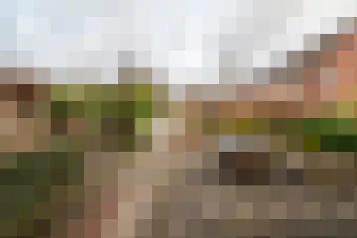 Heesterlaan 11 Haren Gn thumbnail 9