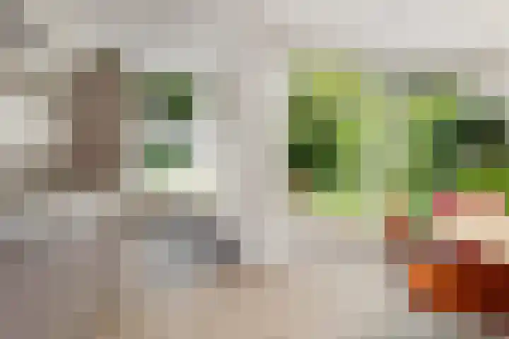 Heesterlaan 12 Haren Gn thumbnail 13