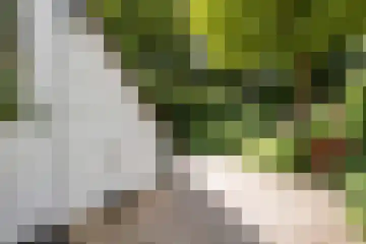 Heesterlaan 12 Haren Gn thumbnail 26