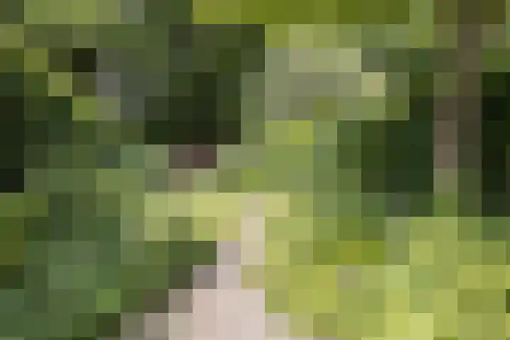 Heesterlaan 12 Haren Gn thumbnail 27
