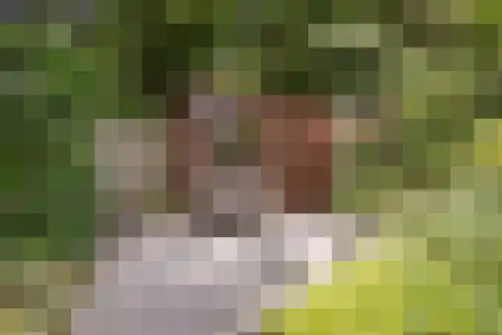 Heesterlaan 12 Haren Gn thumbnail 28