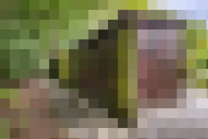 Heesterlaan 12 Haren Gn thumbnail 29