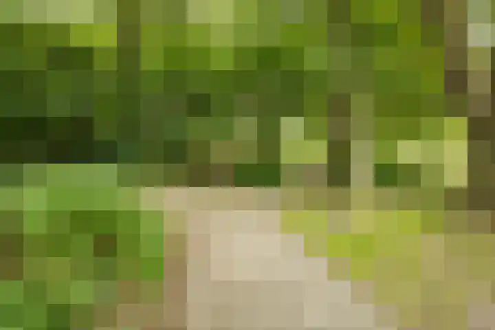 Heesterlaan 12 Haren Gn thumbnail 30