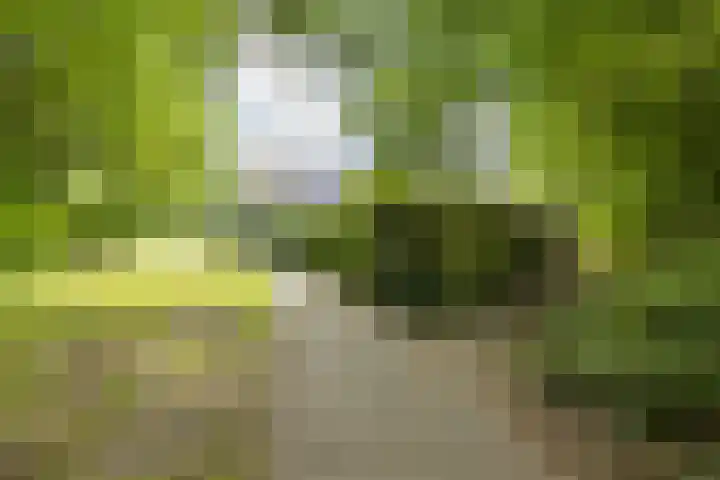 Heesterlaan 12 Haren Gn thumbnail 31