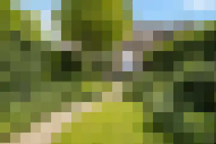 Heesterlaan 12 Haren Gn thumbnail 32