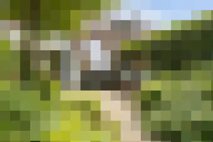Heesterlaan 12 Haren Gn thumbnail 34