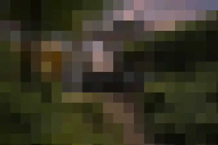 Heesterlaan 12 Haren Gn thumbnail 37