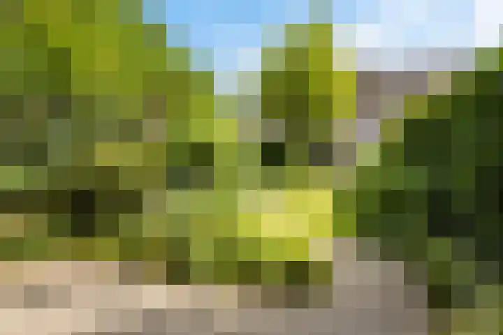 Heesterlaan 12 Haren Gn thumbnail 4